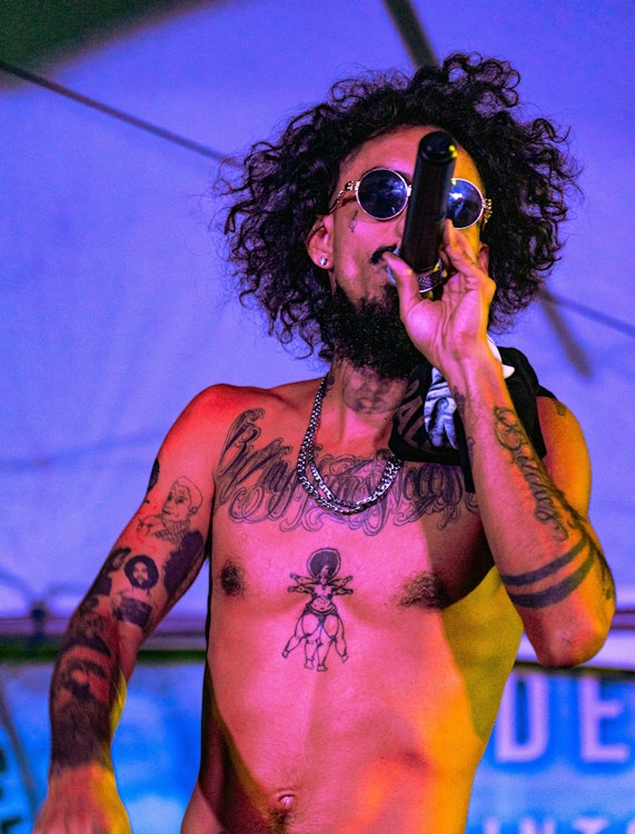 Live Concert with Artist on Microphone